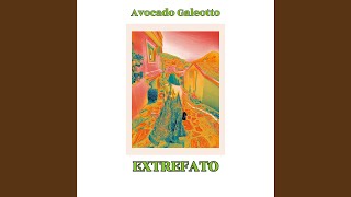 Avocado Galeotto