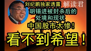 刘纪鹏独家透露胡锡进被全网封杀禁言之后，目前的处境和近况！刘纪鹏谈当前中国经济不好，股市非常惨烈，普通散户投资人完全玩不到任何希望！非常绝望！