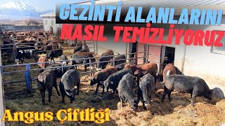 AÇIK BESİDE GEZİNTİ ALANLARININ TEMİZLİĞİ