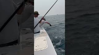 Yellowfin Tuna Fishing #fishing #tunafishing #tuna #fish #offshorefishing #bait #yellowfintuna