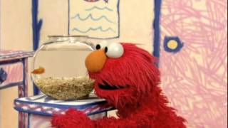 Elmo's World(Eng Dub) - Scene 16(03-03-12)