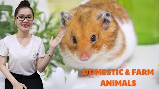 Vocab61: Domestic and Farm Animals (Vật nuôi)