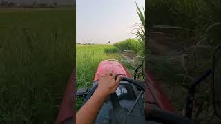 क्षेत्र कोणतेही असो कष्ट केल्याशिवाय पर्याय नाही 🌾💯#tractor #tractorvideo #framing #farmlife