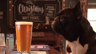 REVEALED: The most dog friendly pub in the UK