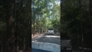 Angkor wat road trip tour, siem reap Cambodia tour, tourism place in siem reap