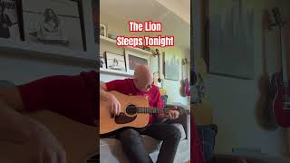 ‘The Lion Sleeps Tonight’ by The Tokens #shorts #lionking #acousticcover #acousticcover #guitarist