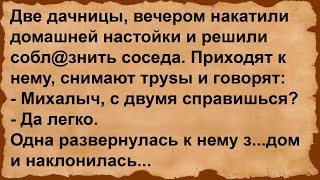 Про Михалыча и двух подвыпивших соседок... Сборник анекдотов!