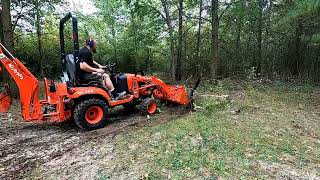 A Little Pond (Swamp) Cleanup.