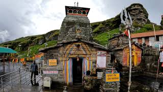 चोपता का व्यू देखिए#chopta #tungnathmahadev #choptatrek #chandrashilatrekking #uttrakhand #kedarnath