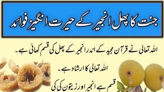 anjeer ke fayde in Urdu / Hindi | benefits of fig