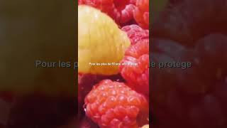 FRAMBOISE, UN BOOSTER ANTIOXYDANT APRES 55 ANS #Framboise