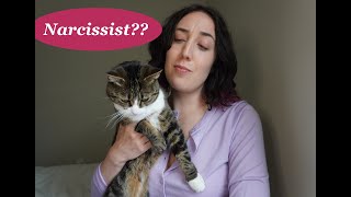 Are YouTubers Narcissistic?! Tag by Andri