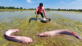 wow fishing on the moss by hand fisherman