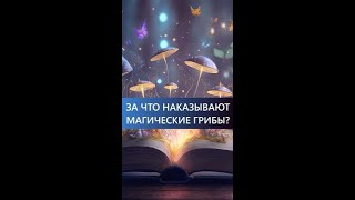 За что наказывают Священные Грибы?