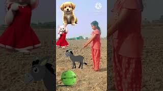 monster V/s new cute 🐕🦮animal name dog, cat, horse ,🐈🐀🐈‍⬛🐩#YouTube # funny video