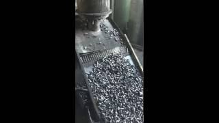 Carbon black pellet machine, Carbon fiber pellet machine, Cartbon waste from tire pyrolysis