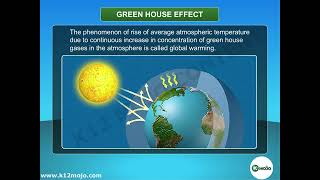 Environmental Problems and Solutions | Class 10 Science