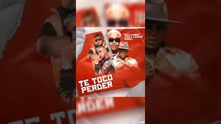 Te tocó perder - Rafa Pabón, Zion y Lennox, Noriel (audio)