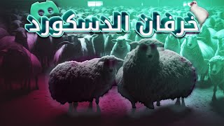 🐑خرفان الدسكورد🐑:خمس خرفان على بنت وحده!!😱😨