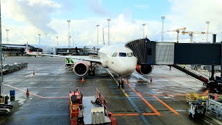 TRIP REPORT | SAS Scandinavian Airlines (ECONOMY) | Airbus A320neo | Copenhagen - Brussels