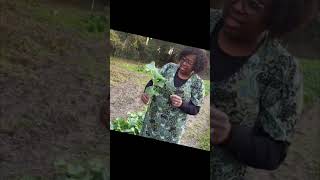 Collard Greens Harvest and Prep #collardgreens #foodpreparation #shortsfeed #shortsvideo