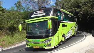 artis bus telolet warna warni bus corong atas viral