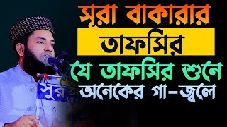 সূরা বাকারার তাফসির যে বয়ানে জ্বালা সৃষ্টি হয় একশ্রেণীর মানুষের Mufti Salman Farsi