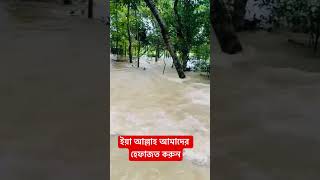 ইয়া আল্লাহ আমাদের হেফাজত করুন #qurantilawat #trending #বন্যার_নিউজ