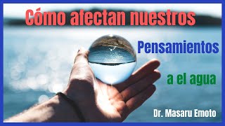 Cómo afectan nuestros pensamientos a el agua🤔