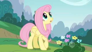 Fluttershy Song (30 Minutes)