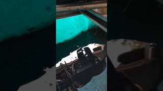 MCLANE EDGER that needs to be fixed oil change part 3