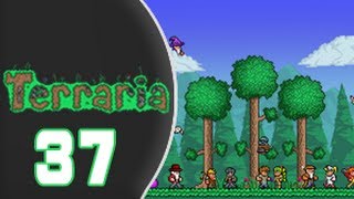 Terraria 1.2 w/ Undeadflayme [37]: Back to the Jungle