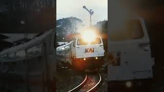 ka Ranggajati berangkat  #ranggajati #daop9 #jember #short #cc206 #keretaapi