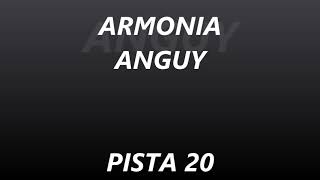 ARMONIA ANGUY - PISTA 20 - DE CANTINA EN CANTINA