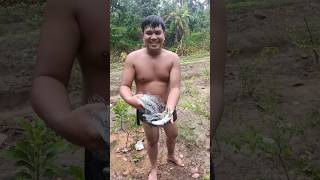 Menjala ikan dilubuk larangan Gunung Baringin #shorts