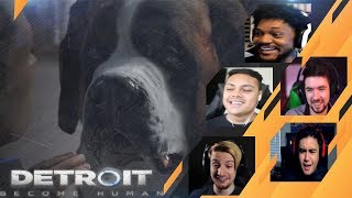 Gamers Reactions to CONNOR MEETING SUMO (DOG) | Detroit: Become Human