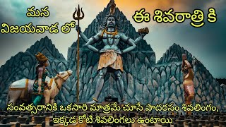 విజయవాడ కి దెగ్గరలో  సంవత్సరానికి ఒకసారి కనిపించే పాదరసం శివలింగం ఇక్కడే కోటిలింగలు చూడచ్చు