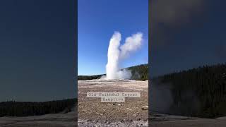 The beautiful Old Faithful erupting in Yellowstone #shorts