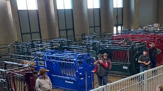 Arrowquip Q-Catch 87 Series Squeeze Chute | Tulsa Farm Show Chute Out