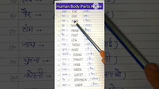 Human Body Parts Name | Body parts name | Human Body #english #ytshorts #shortfeed #short #learn