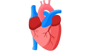 how to draw human heart diagram class 7th l easy drawing l