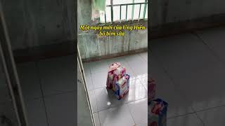 Lại là Ưng Hiển anh của Ưng Thái đây 🤣