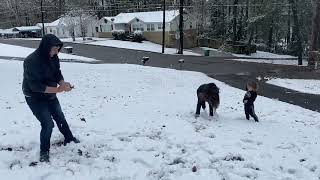 Snow ball fight! I got pelted with a snow ball! First time kids seen snow!