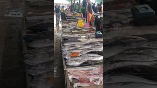 Jualan Hasil Laut di Market Basah Mukah, Sarawak..(4/6/2023)