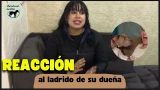 Ladra a tu perro y mira su reacción ⚠️ - ¿Ellos entienden este tipo de bromas?