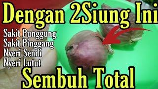 2Singung Bawang Merah Mengobati sakit Pinggang Punggung Nyeri Sendi Nyeri Lutut