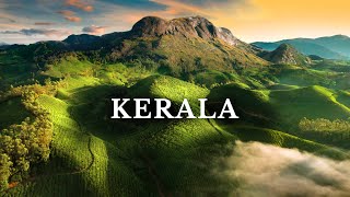 Kerala’s Most Beautiful Place Munnar | South India | Kolukkumalai