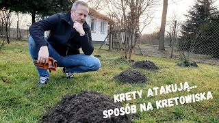 Atak kretów. Kret, przyjaciel czy wróg? Sposób na kretowiska. Test czujnika PH gleby.