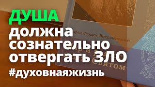 Душа должна сознательно отвергать зло. Фаддей Витовницкий. Мир и радость в Духе Святом.