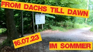 FROM DACHS TILL DAWN  16.07.23